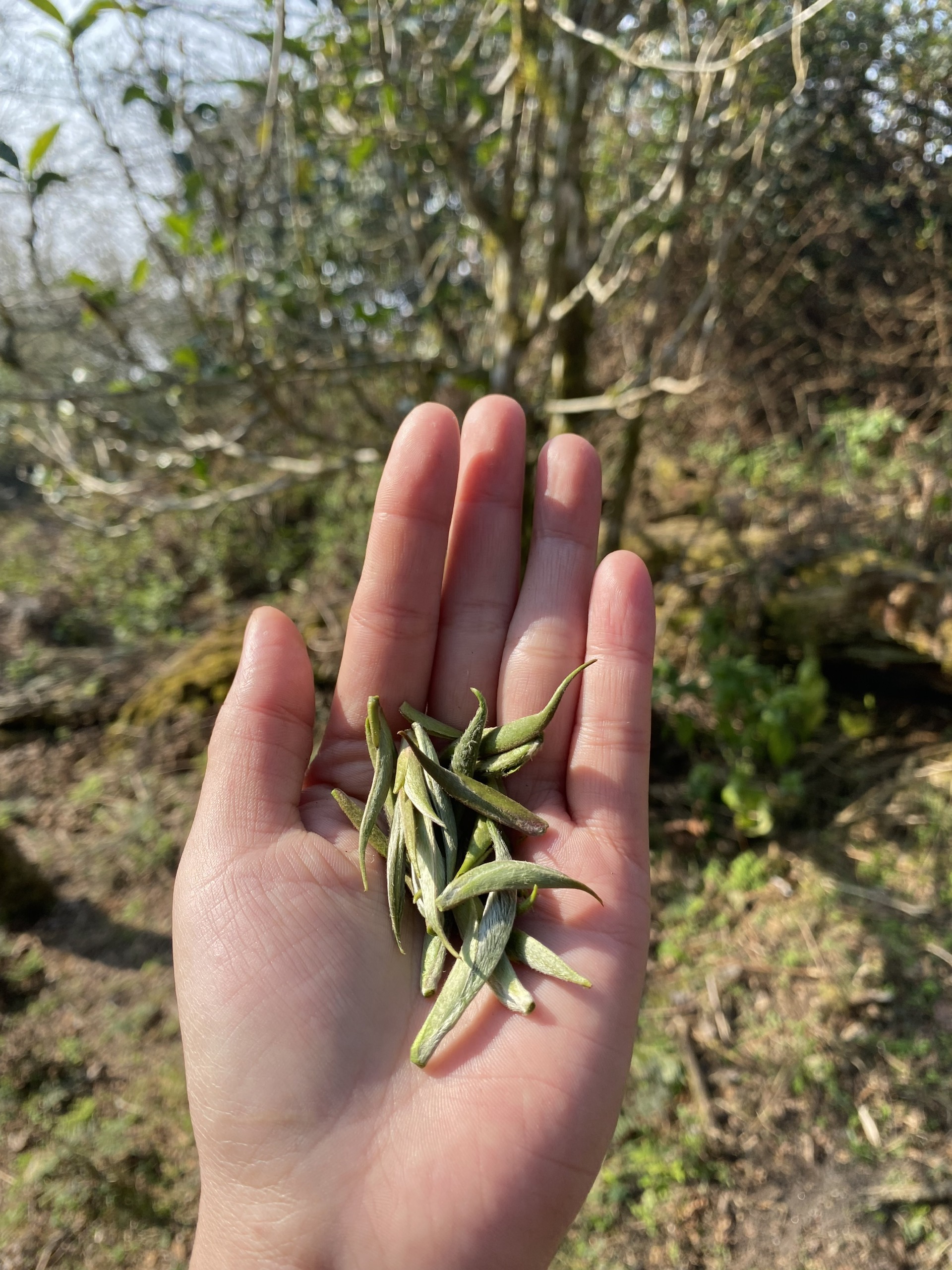 4ffeb64e7a6fc3319a7e